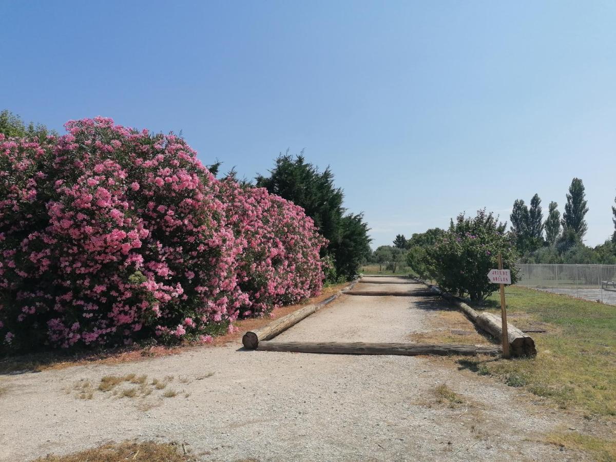 Les Gites Du Mas Canillac Châteaurenard Екстериор снимка